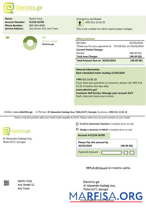 Downloadable Georgia Electrics.ge electricity business bill template in Word and PDF formats1